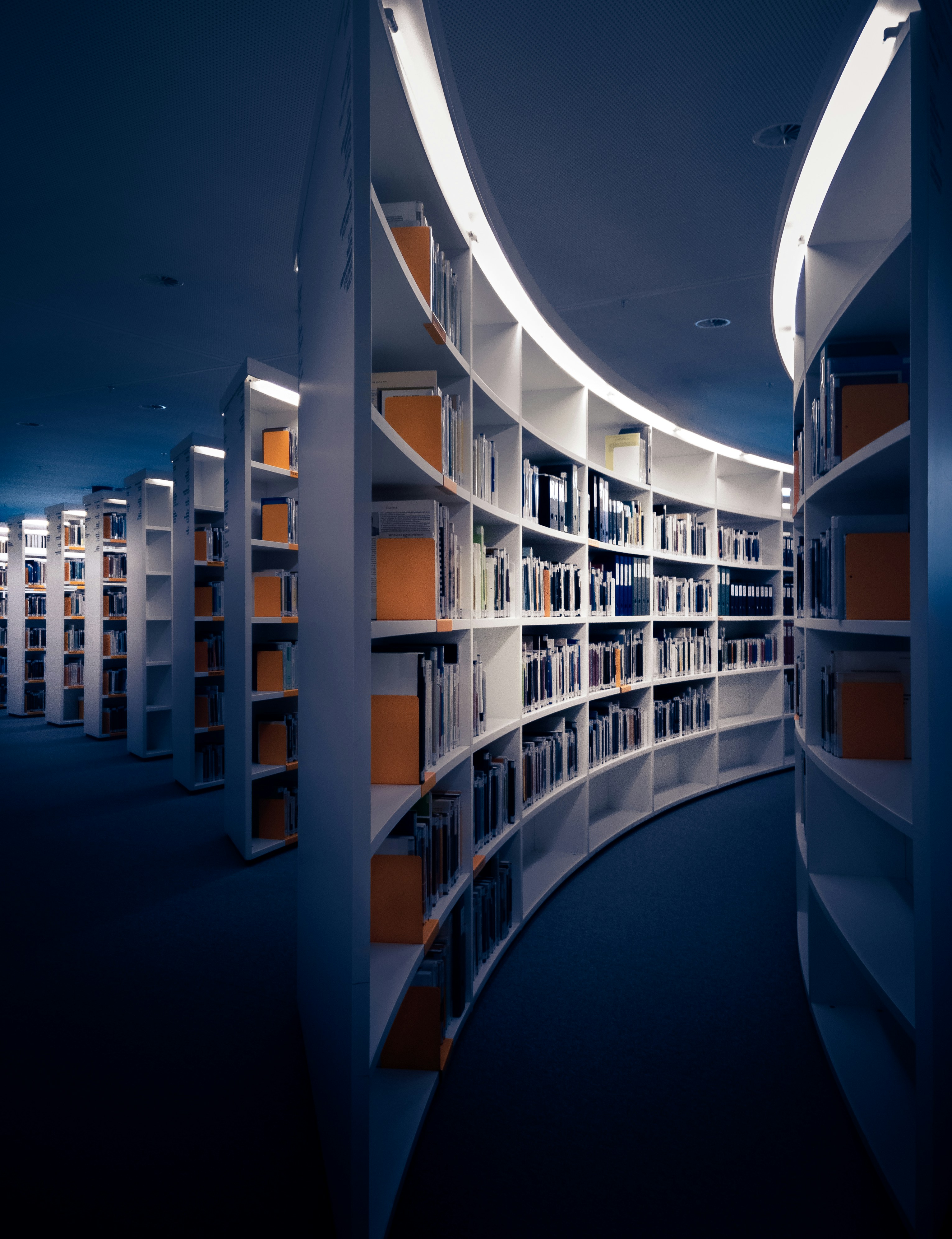 Top Tips for Getting Your Paper Published in Scopus and PubMed Journals